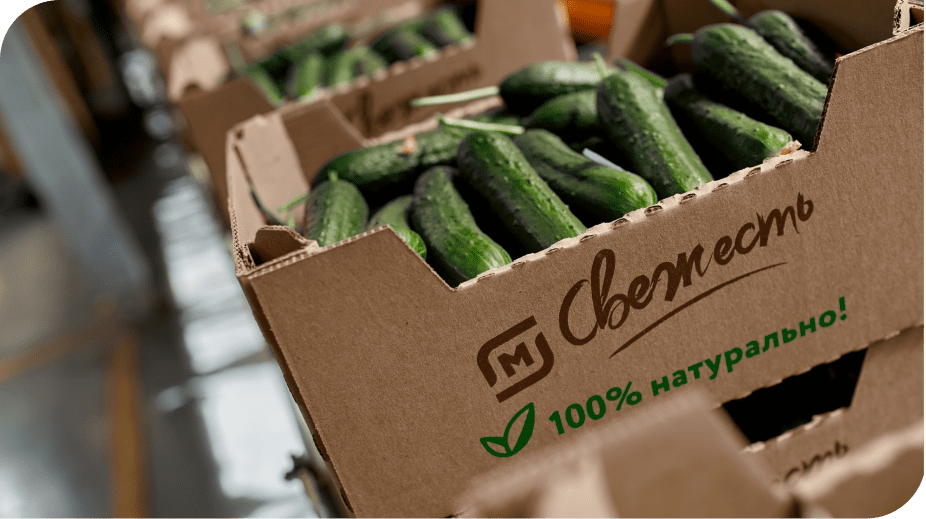 Устойчивая упаковка