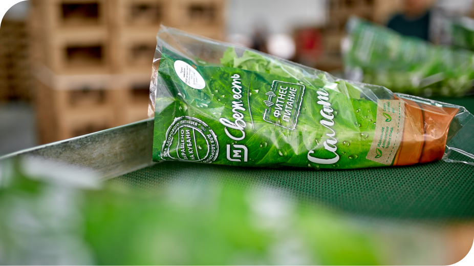 Импортозамещение